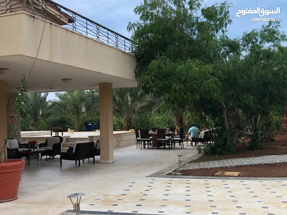مزرعة في الشونة الجنوبية / غور نمرين - ref: 12165