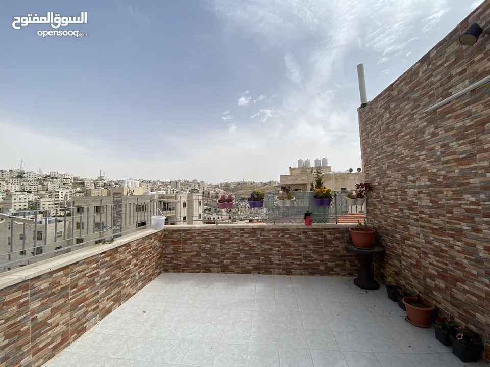 شقة روف للبيع