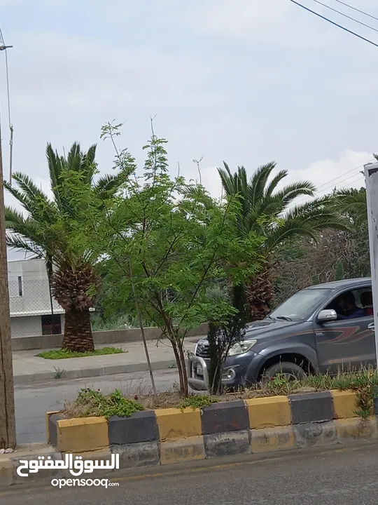 مجمع تجاري للبيع في ماحص
