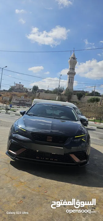 سيت كوبرا 2019