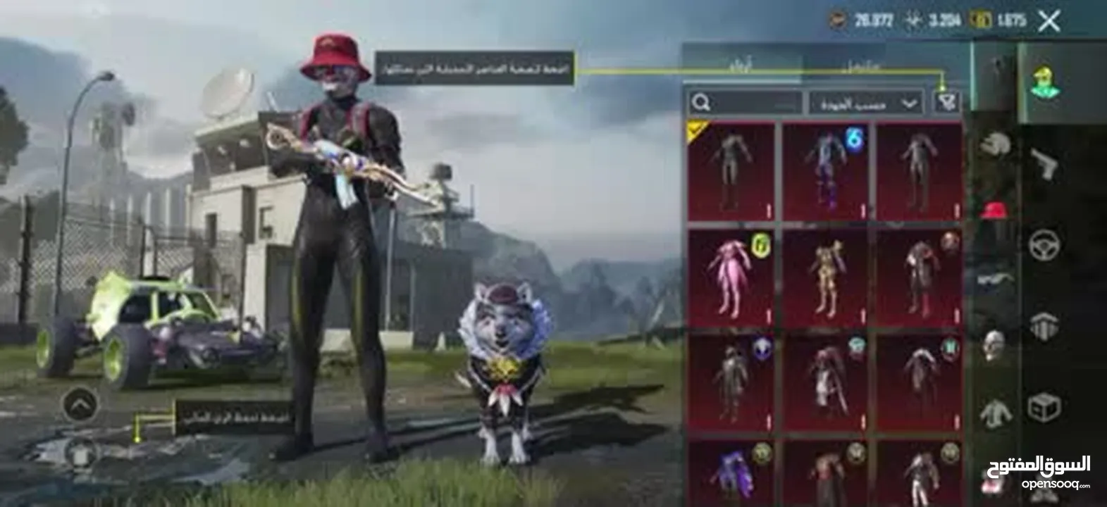 حساب ببجي مرتب