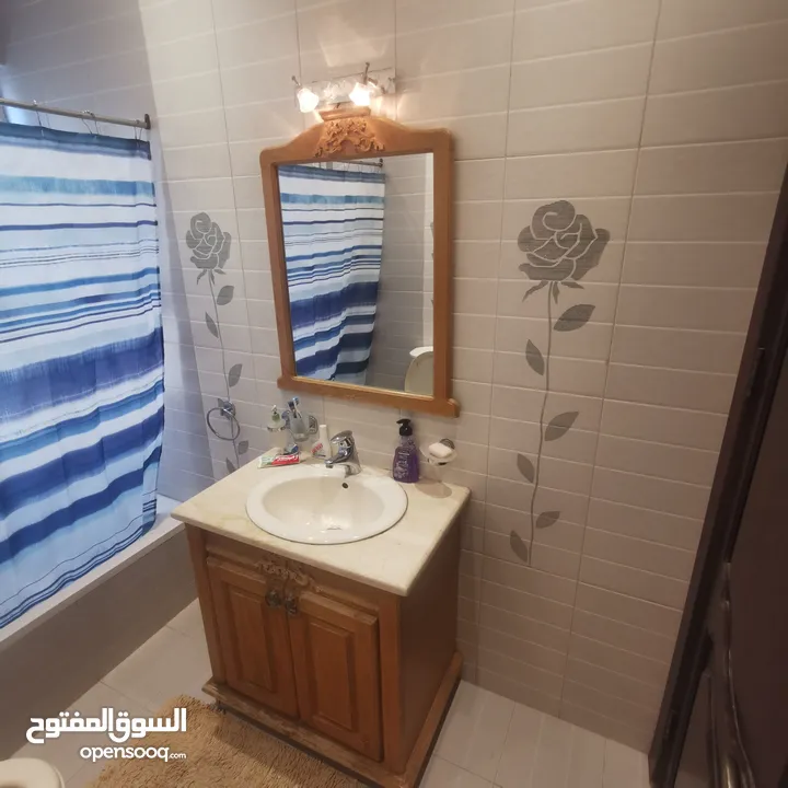 luxury furnished apartment for rent WhatsApp