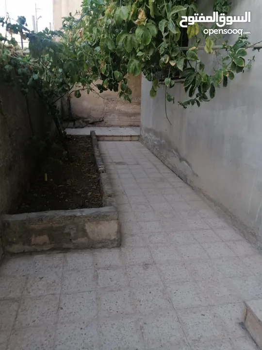 شقة للايجار