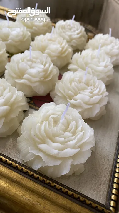 توزيعات هدايا