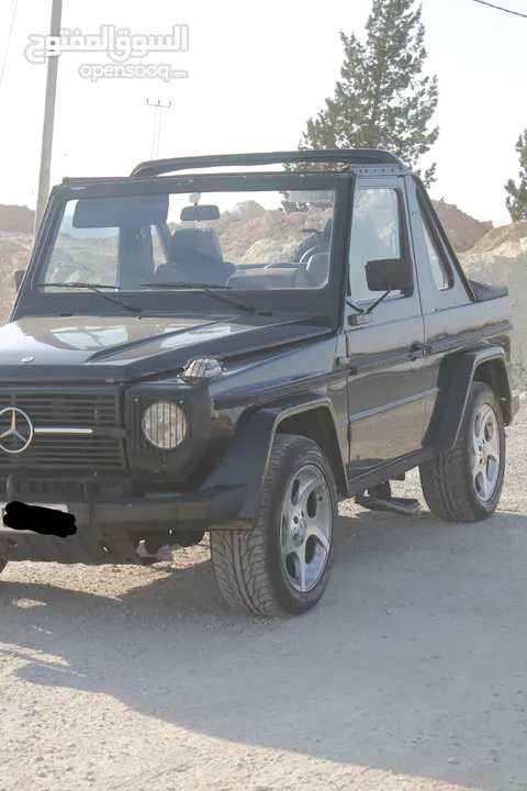 G class 1984