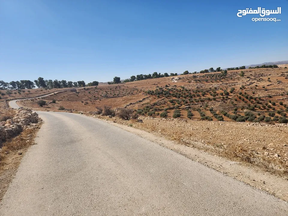 30 دنم جرش قفقفا طريق اربد عمان