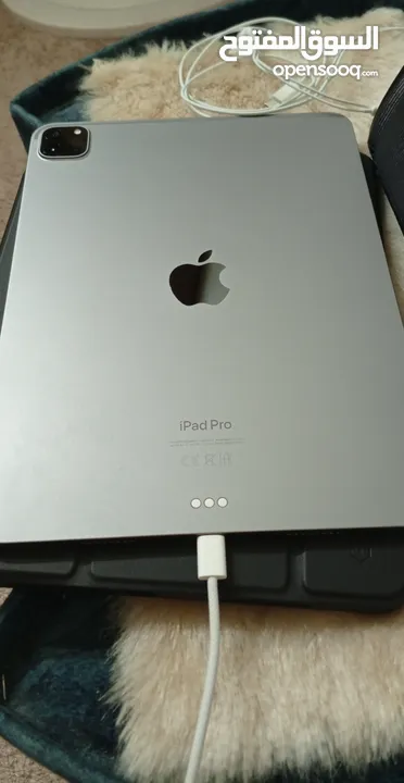 iPad Pro 11 inch