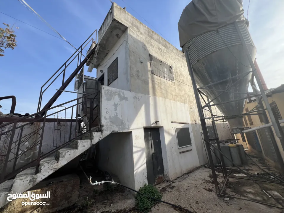 مشروع دواجن متكامل وجاهز للإنتاج – ليس مجرد أرض