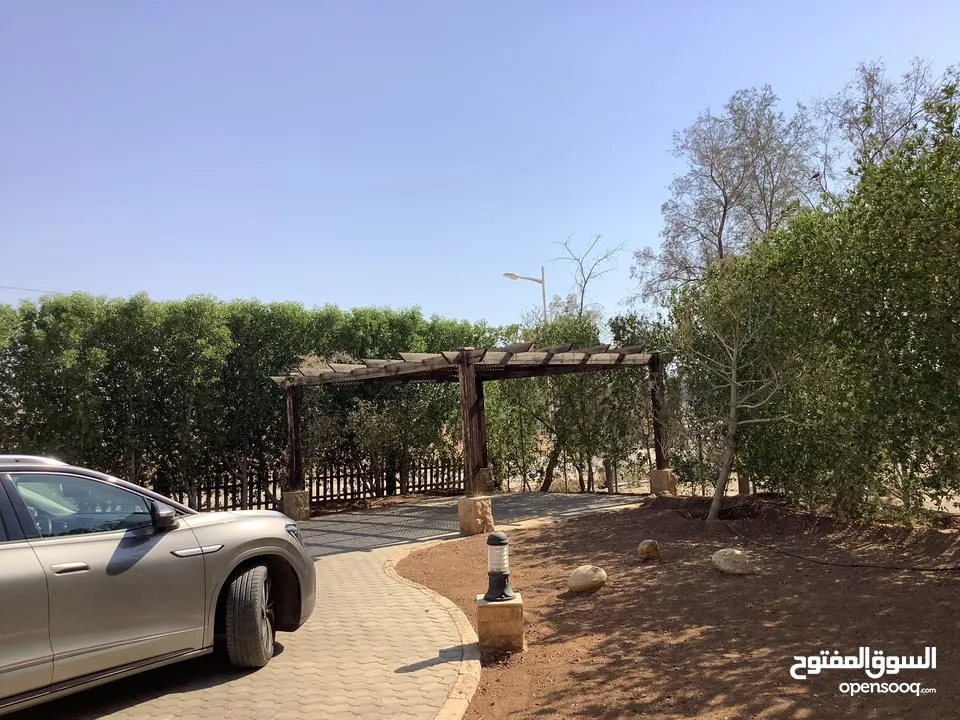 مزرعة في البحر الميت/ الشونه الجنوبية / السويمه / حوض جلد مميزة للبيع للجادين فقط
