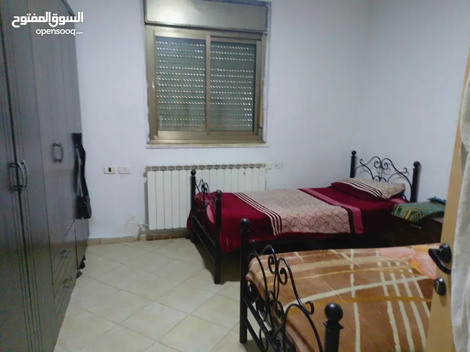 مطلوب شريك سكن – رام الله