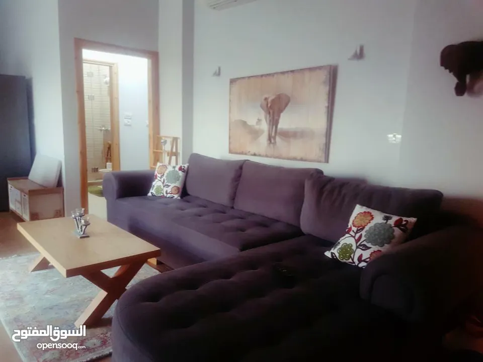 شقه للايجار