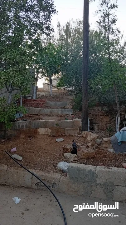 بيت مستقل طابقين