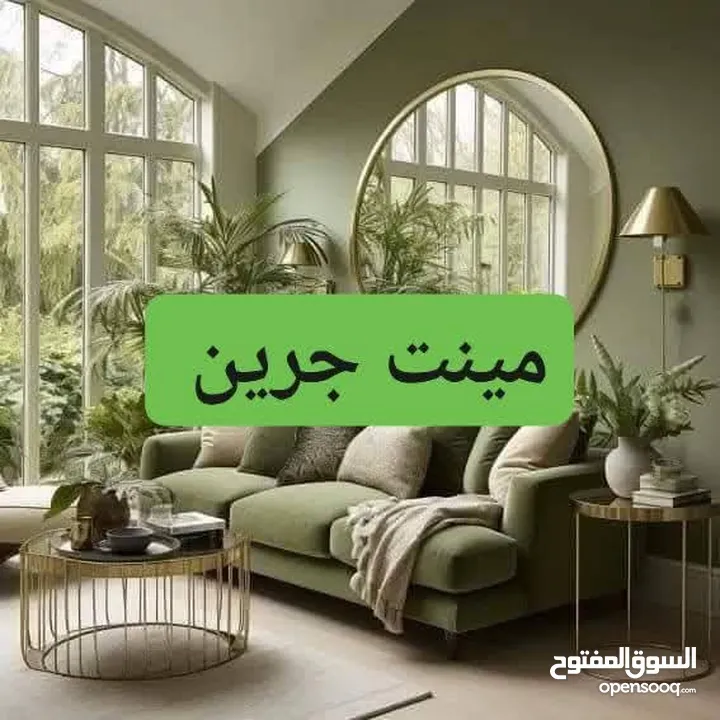 عمرو المصري للدهانات والطراشه والديكورات والعزل والصيانه العامه