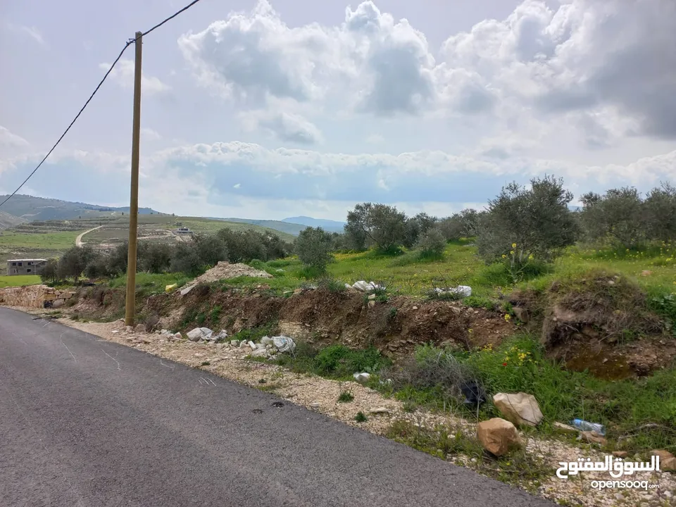 ارض مميزة 5 دونمات باجمل مواقع بيت امرين على قمة جبل كوشان طابو