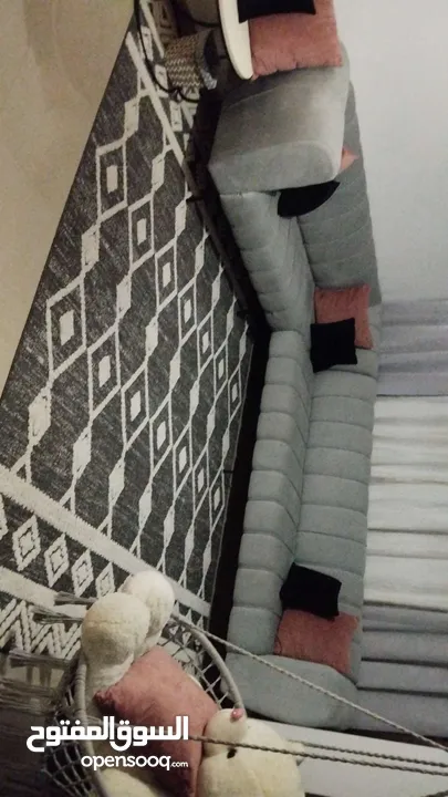روف بسردا بسعر مرتب