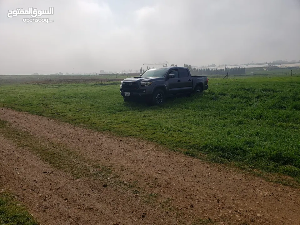 Toyota tacoma trd sport 2018