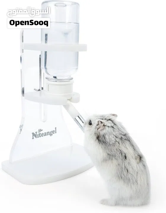 Hamster wheel and water bottle