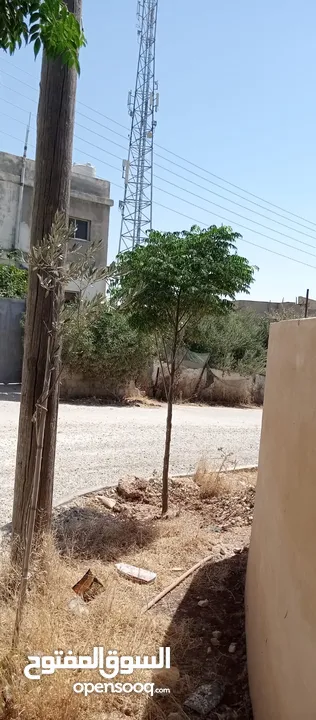 بيوت للبيع