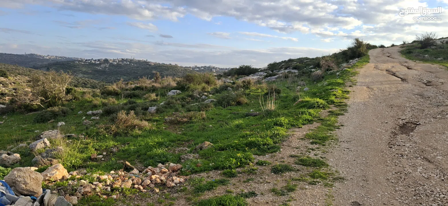 دونم ارض طابوا فلسطيني منطقة (B)بالقرب من دوار كفرصور جميع الخدمات فيها عليها شارع 12متر موقع مميز