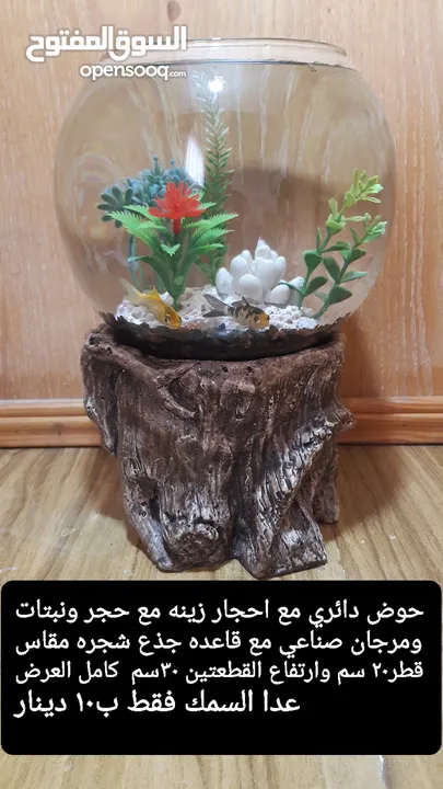 حواض مع قاعده