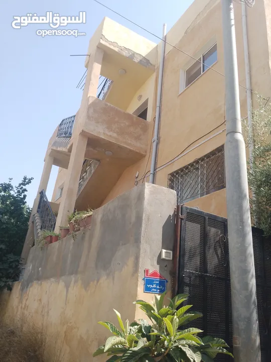 بيوت   طابقين   واحدة شقتين    والثانية ثلاث شقق