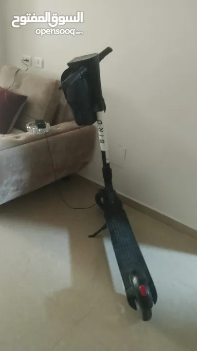 سكوتر كهرباء من شركه BIRD مستعمل بحاله جيده جداا وسريع وحالته ممتازه و مع ليز اخضر هديه