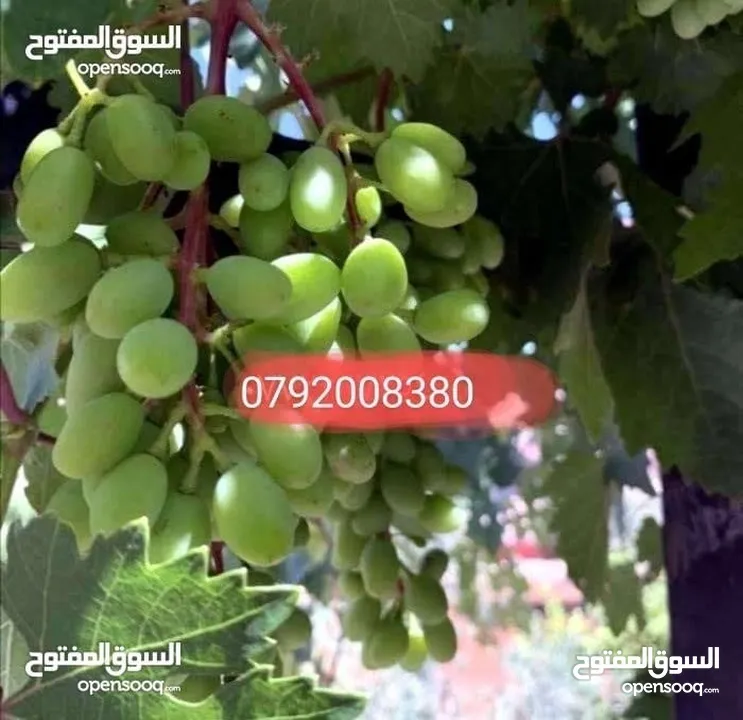 مزرعة لقطة مميزة مع بيت طابقين مطلة ومرتفعة