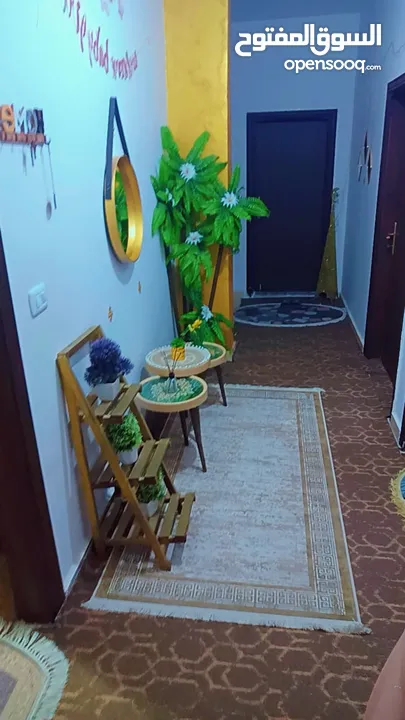 شقه للايجار