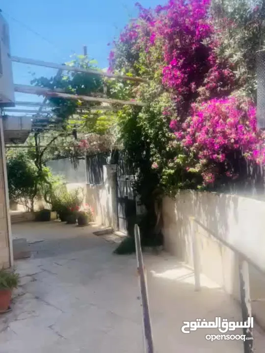 عمارة للبيع