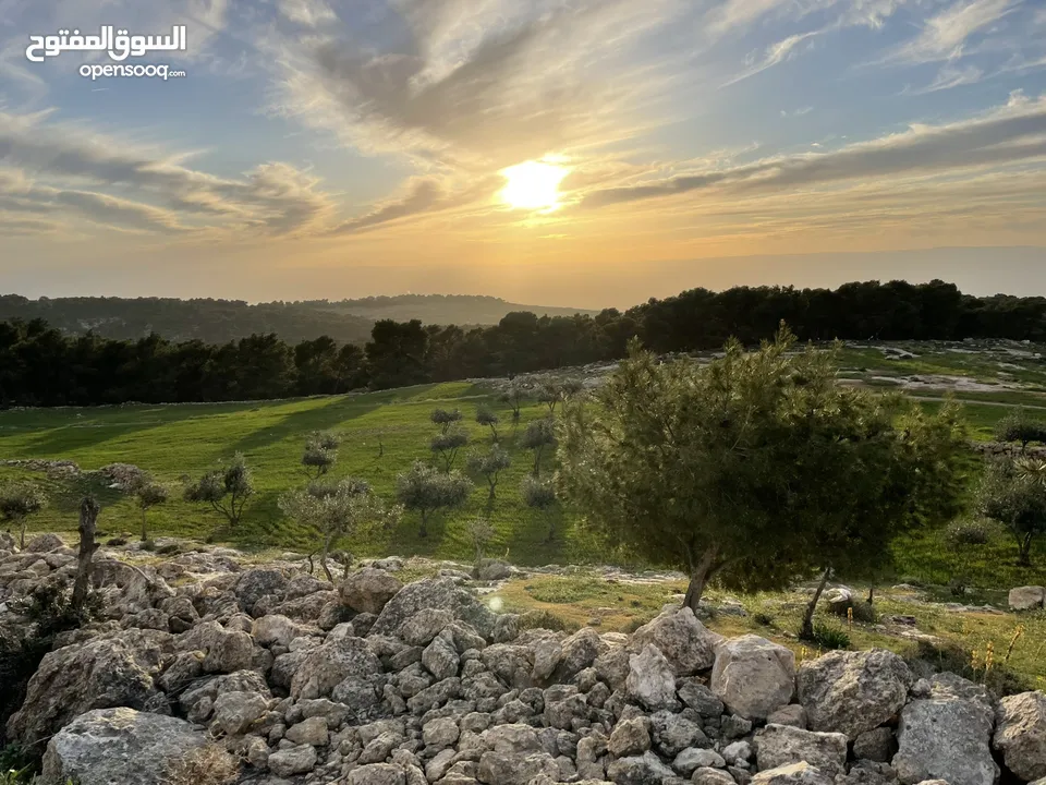 من المالك مباشرة، فرصة استثمارية، زبود باطلالة رائعة, ، ناعور، تلة زبود  12 دونم ونصف