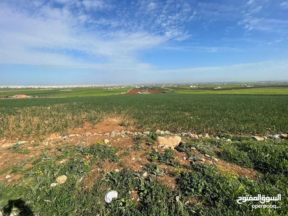 ارض للبيع حوض الجبيل وارض حوض ام الابار جنوب شارع الصوامع وقرب مدارس الجسور متوفر اكثر من قطعة