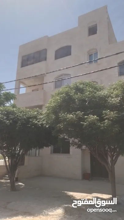 شقة للبيع حي الطوال