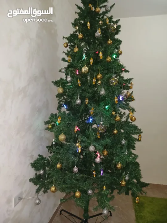شجرة الميلاد
