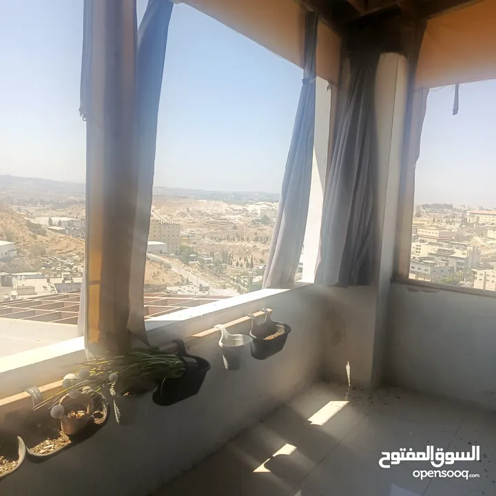 رووف صغير مفروش للايجار