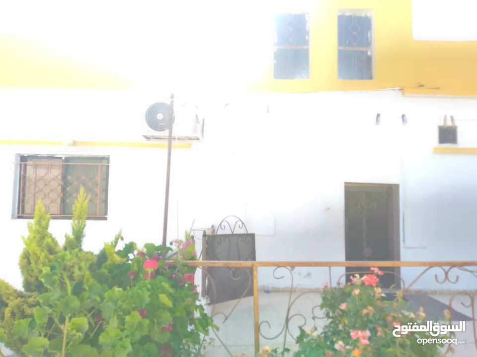 بيت للبيع منشيه بني حسن الحي الشرقي على البيت دلم ارض