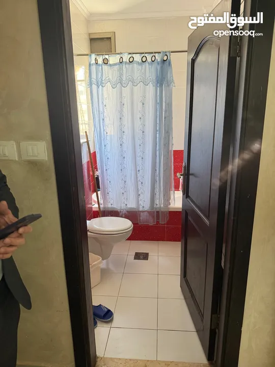 الوسيط ضياء