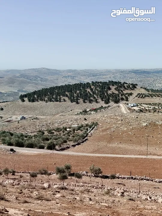 ارض للبيع جرش عنيبه قطعه مميزه جدا