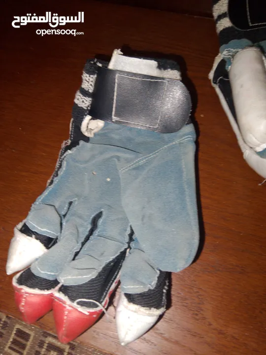cricket batsman gloves of grey nicolls it is a pair