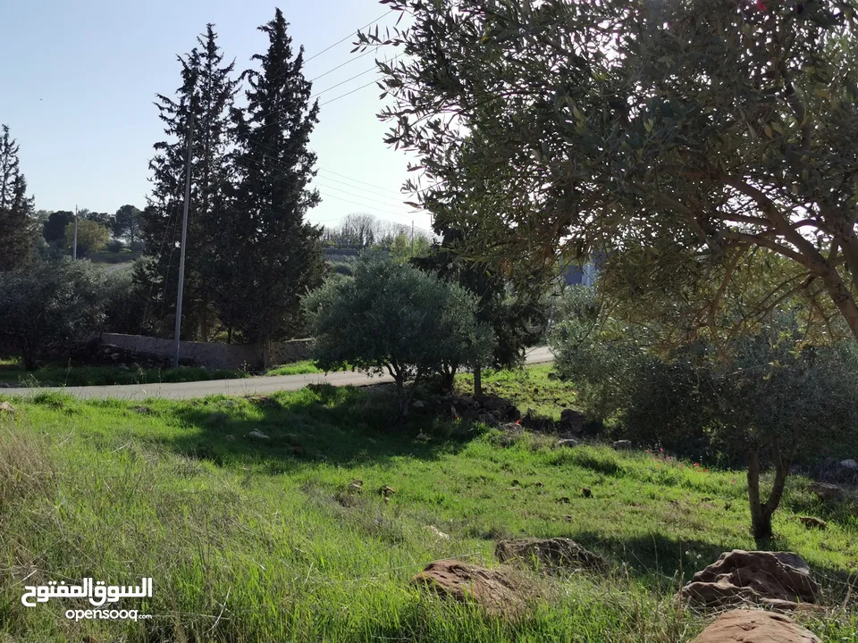 قطعة أرض مميزة في السلط الصبيحي سيحان بسعر مغري بمنطقة جميلة