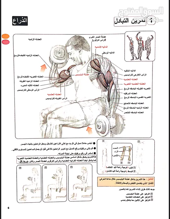 كتاب تشريح تدريب القوة لكمال الأجسام