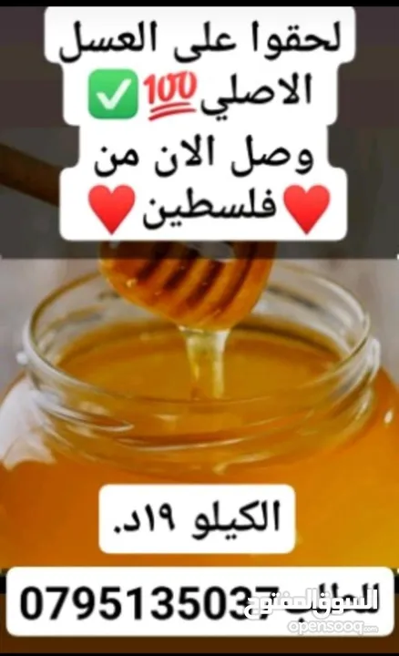 نباتات زراعيه جاهزه وورق عنب وملوخيه ودبس خروب ودبس عنب وجبنه ومعمول وكعك ودحدح وكبه