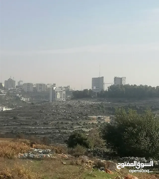 ارض مميزه للبيع