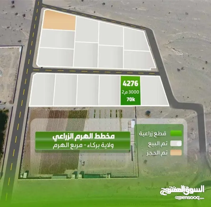 عشاق الفرص لحق آخر قطعة بمخطط الهرم الزراعى لمحبي بناء الاستراحات