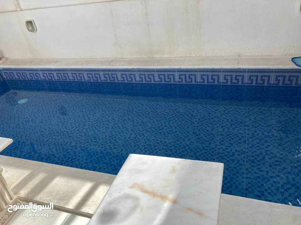 بناء مسابح بنظام سكيمر برك سباحة ..