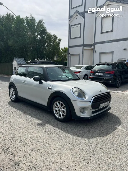 MINI- 2019