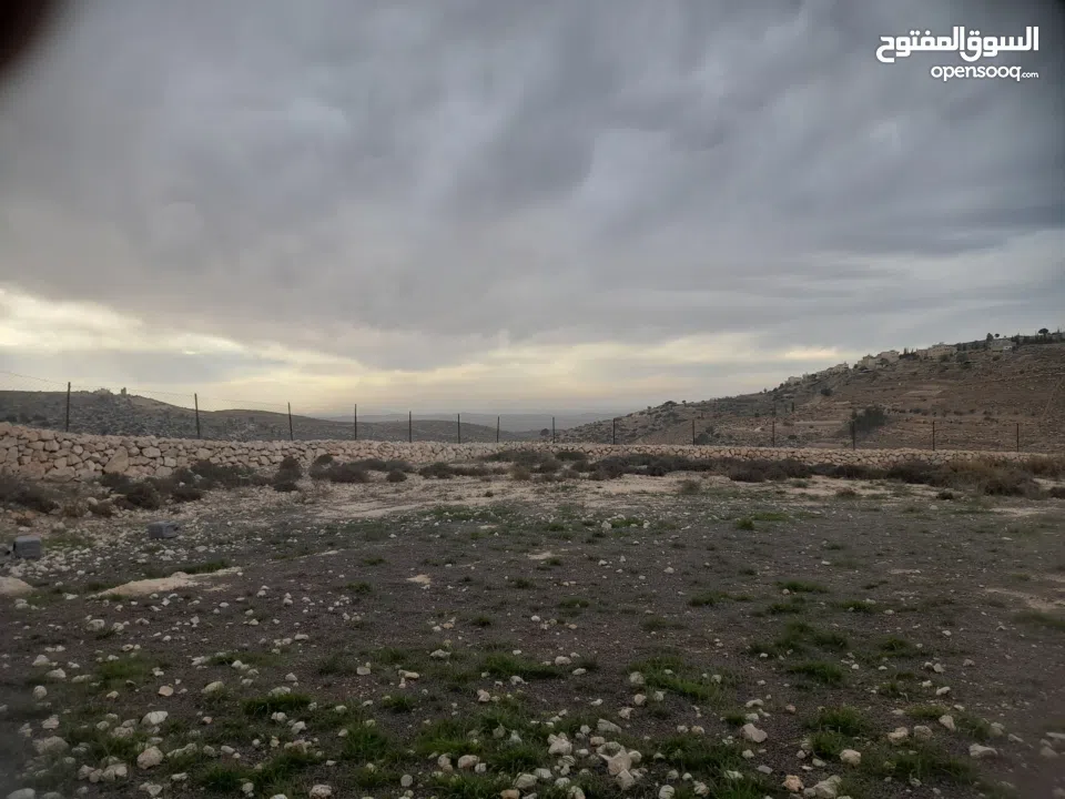 1800 م ارض طابو A الخليل دورا خرسه