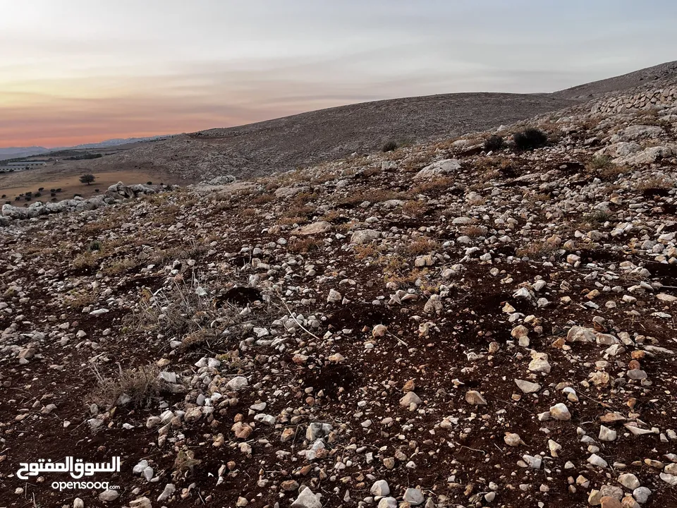 تملك الان فرصة العمر قطعة ارض من اراضي غرب عمان مطلة على فلسطين و الاغوار و البحر الميت و سد الكفرين