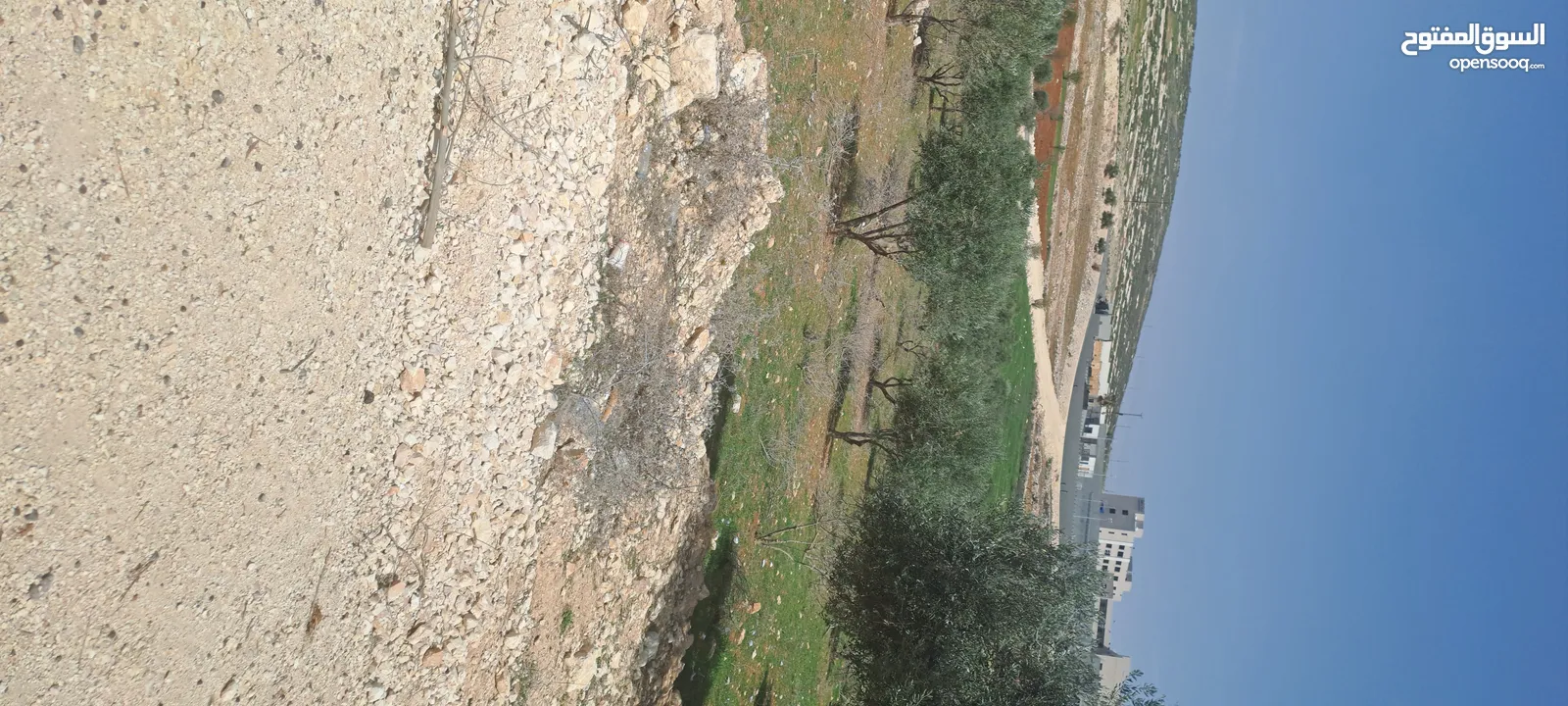 ارض للبيع ناعور الجديده حوض البويضه بالقرب من مدارس الجاليات ومدرسه ايبك قطعه سكنيه للفلل