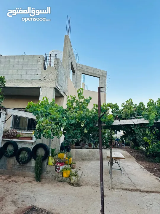 ابونعيم عمر