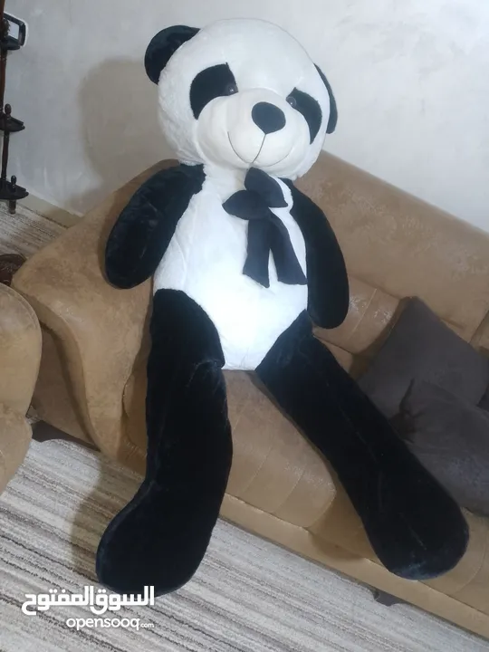 دبدوب باندا طول متر ونصف